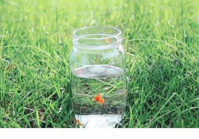 害怕的心情写一段话