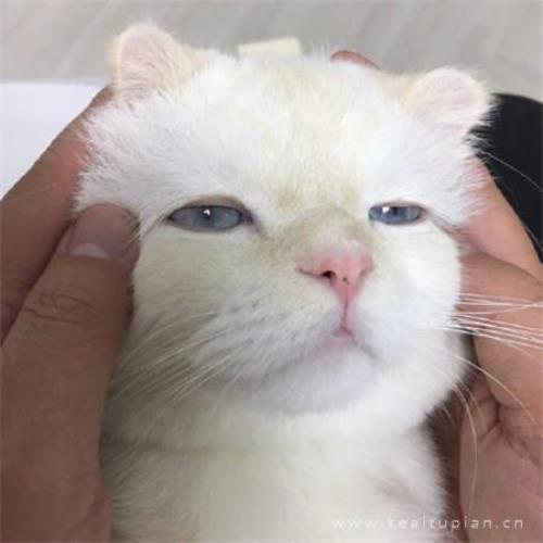 不被理解的心情说说