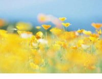 ​心情句子说说心情短语 下雨天的心情说说搞笑