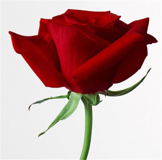 心里郁闷的说说心情短语