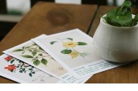 ​关于怀孕的美好句子 表示孕吐难受的心情说说