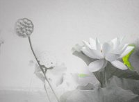 ​信任的句子说说心情