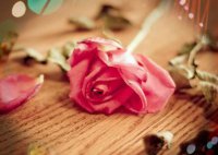 ​诛仙好听的情侣名字