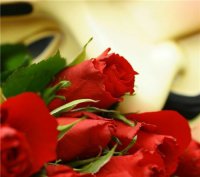 ​速配的情侣名称