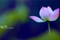 ​新诛仙手游情侣名