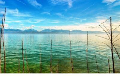 家庭感悟说说心情短语