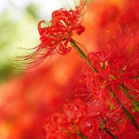 ​女人心情不好花钱发泄的说说