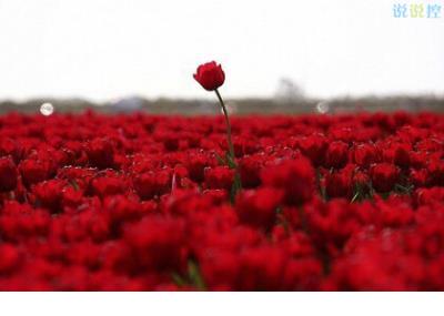 想放假的说说心情短语