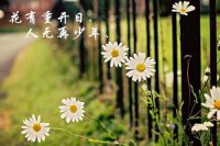 ​极致好看的名字