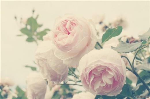 伤感的句子经典