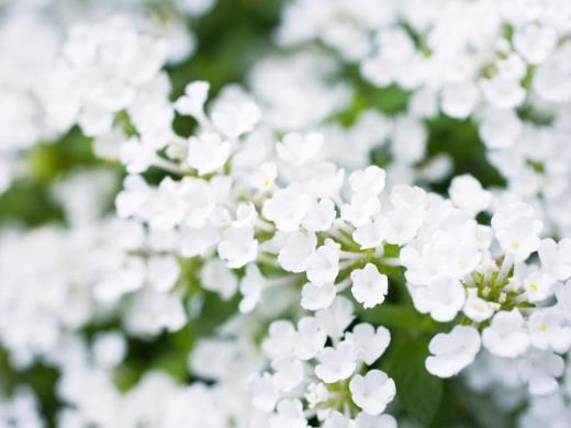 立春朋友圈心情说说文案