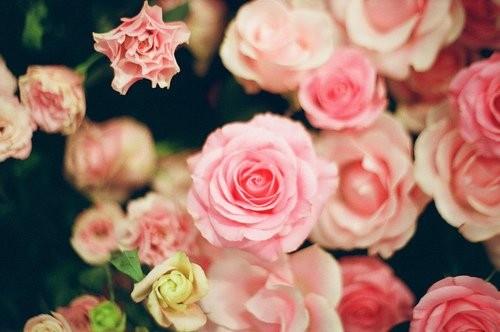 立春朋友圈心情说说文案