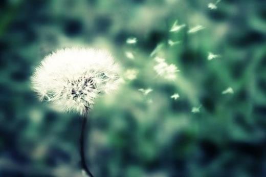 形容心情不好的句子