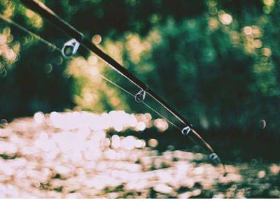 励志搞笑的句子说说心情短语