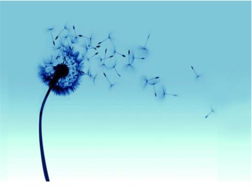 生活简单幸福的句子说说心情