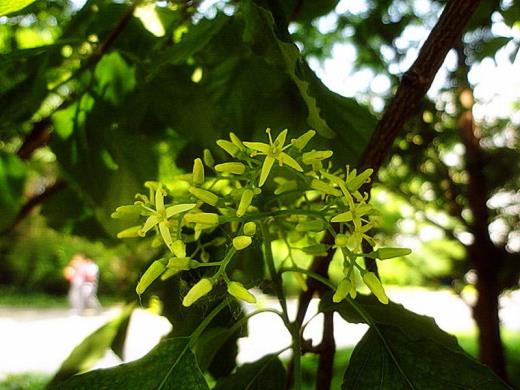 适合各种心情的句子