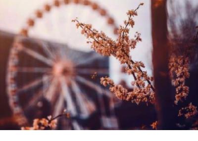 失恋的句子说说心情