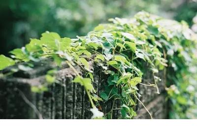 形容压力大发愁的说说