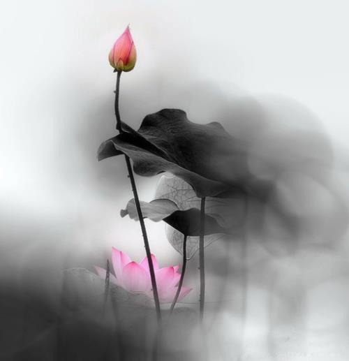 适合发朋友圈心情烦躁的句子