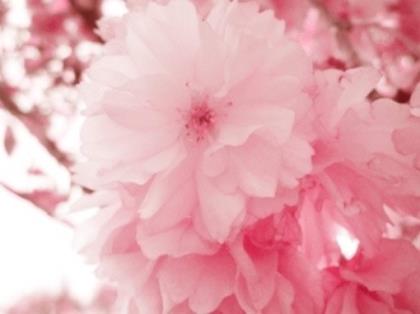 很烦很压抑的心情说说