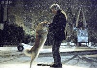 ​阳光正好 心情好的句子 适合阳光明媚的朋友圈