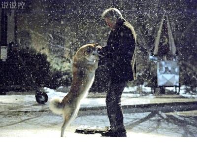 适合阳光明媚的朋友圈