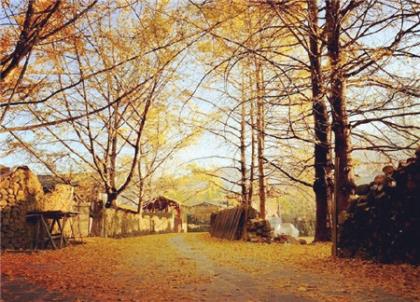 伤心的说说心情短语