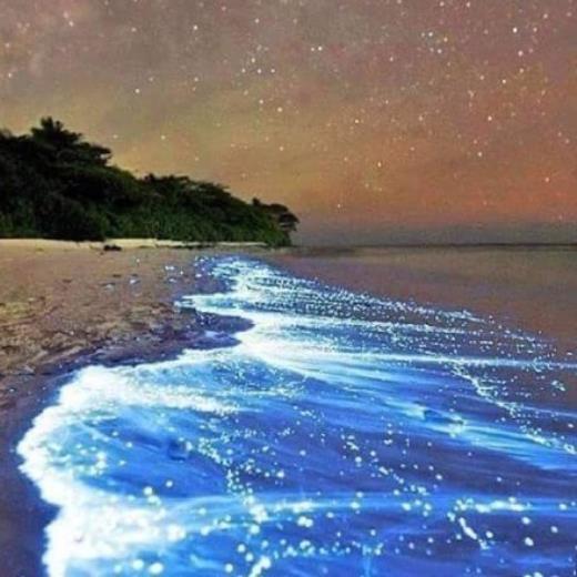 对他失望到极点的心情说说