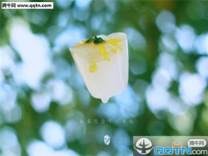 说说心情短语人生感悟