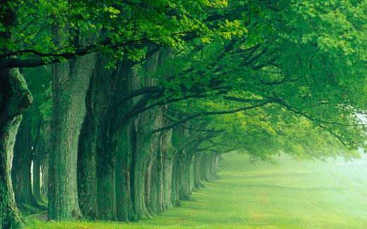 风景美的句子心情短语