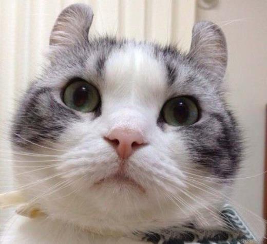 晚上感慨句子说说心情