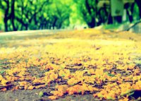 ​没心情的说说