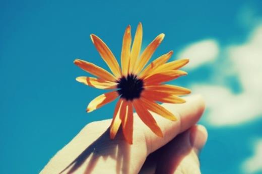 感恩的爱情说说心情