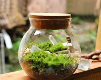 ​16年流行名字大全