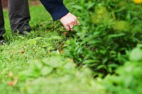 ​最独特好听的名字