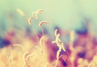 ​一句话周末心情说说