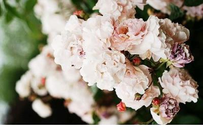 无奈生活说说心情短语