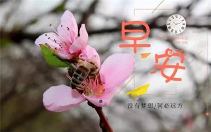 晚安的朋友圈简短说说