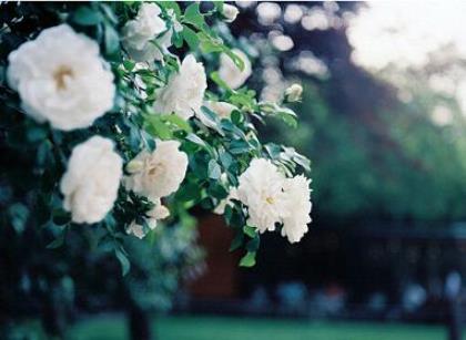 经典励志短语大全