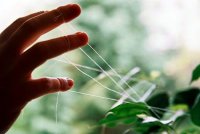 ​游戏名字女生霸气小众