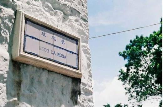 阳光灿烂的日子说说