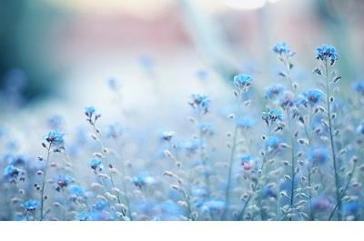 朋友圈一句心情签名语录