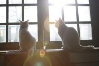 ​喝多了的说说心情短语