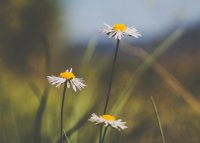 ​很现实的心情说说 心情不好发朋友圈的句子