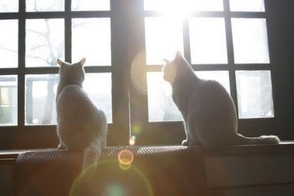 微信朋友圈无奈的说说