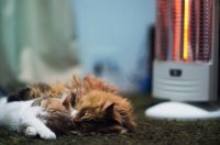 ​压抑憋屈的心情说说 微信朋友圈无奈的说说