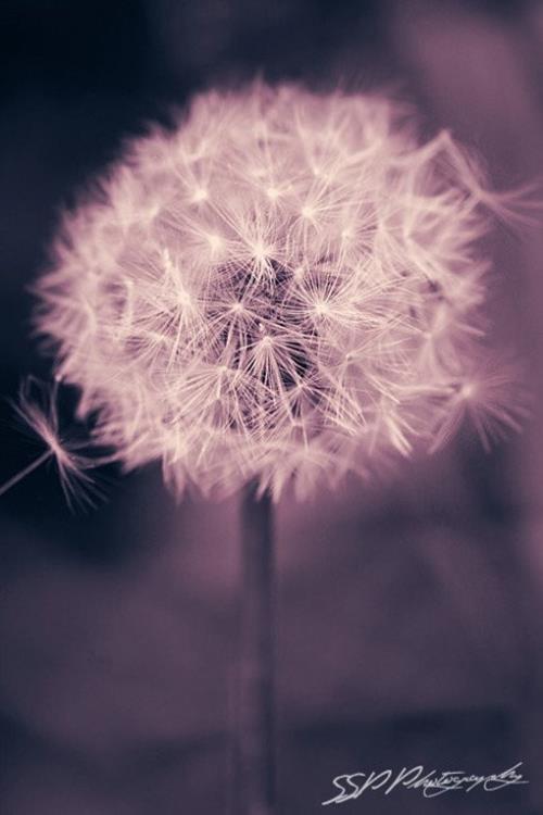 理解的句子说说心情