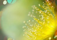 ​游戏名字男生唯美的