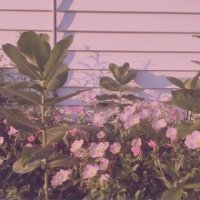 ​深夜睡不着的朋友圈说说心情短语