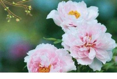 qq2023经典心情短语